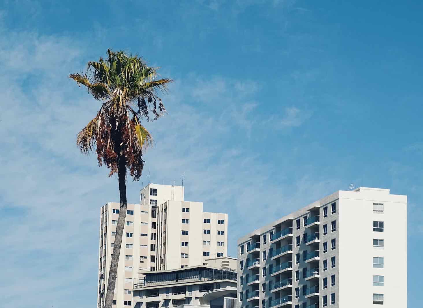 Water Damage Restoration Long Beach CA Company | Water Damage Restoration Services Long Beach CA | Mold Remediation Long Beach